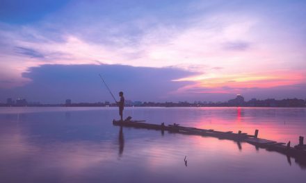 La pêche no-kill : respectons la biodiversité des cours d’eau
