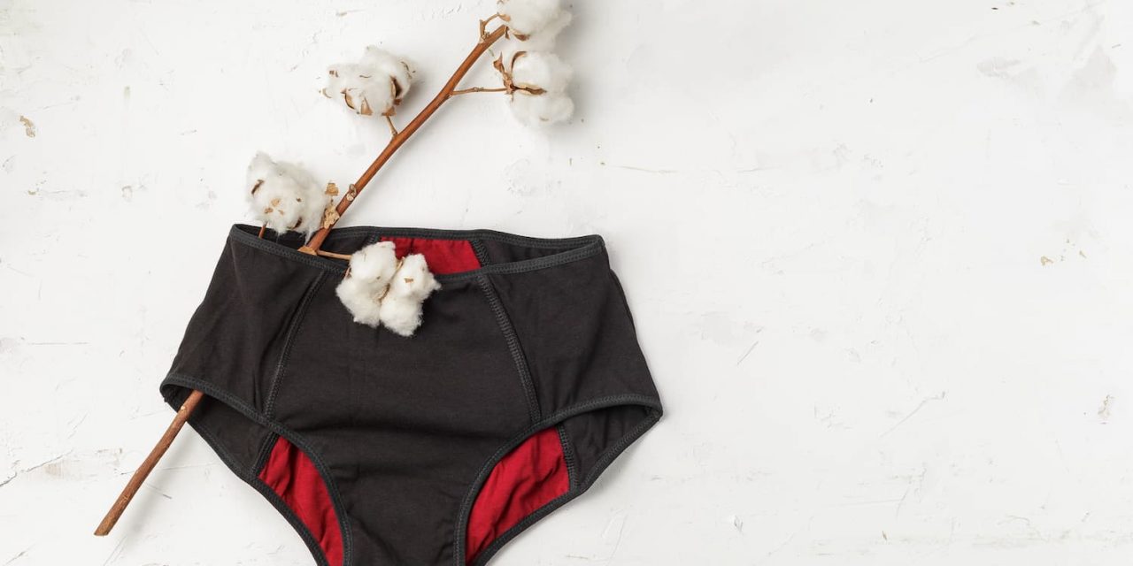 Quelle est cette nouvelle alternative à la serviette sanitaire appelée la culotte menstruelle ?